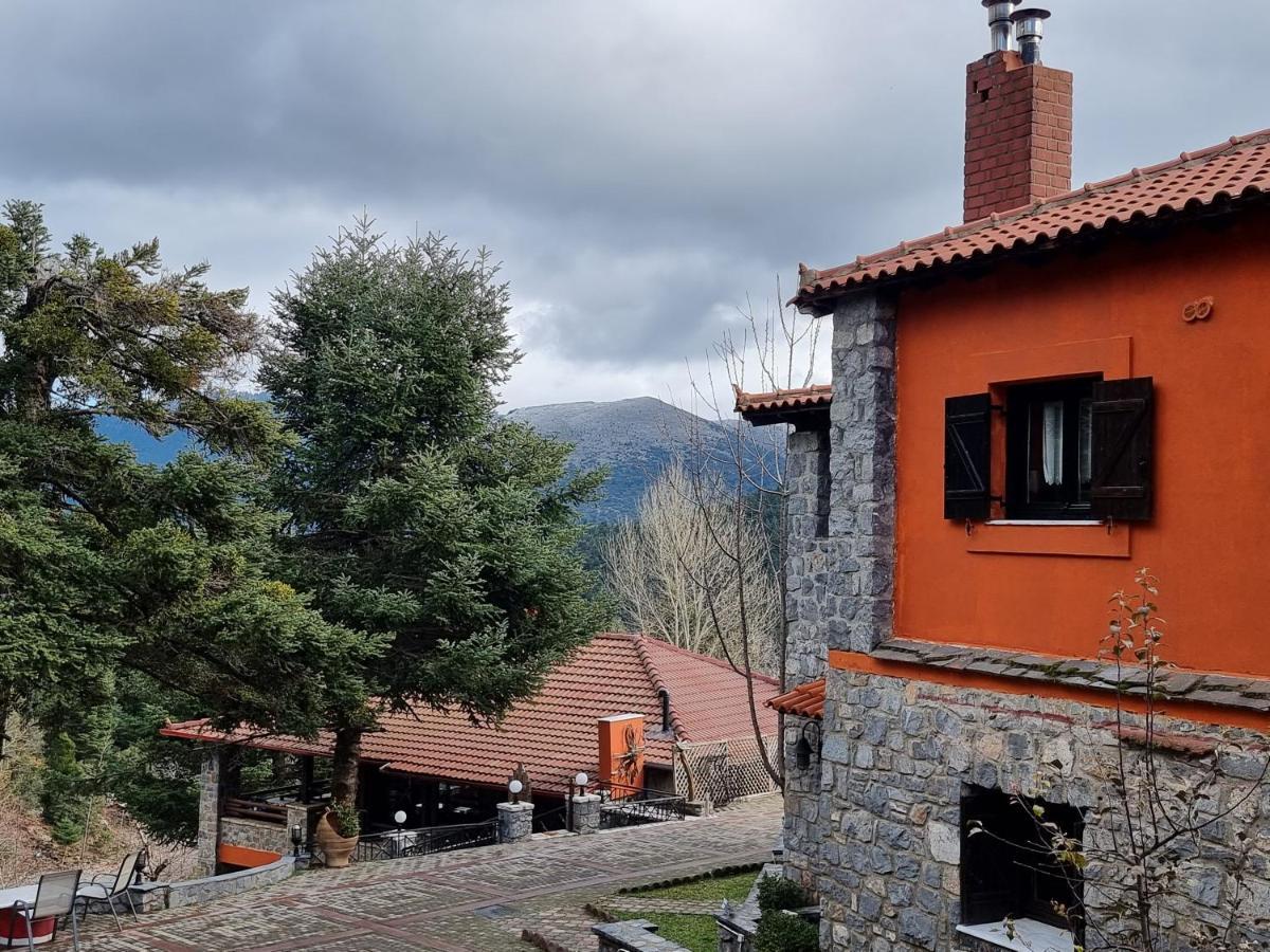 Chalet Elati Vitína Kültér fotó